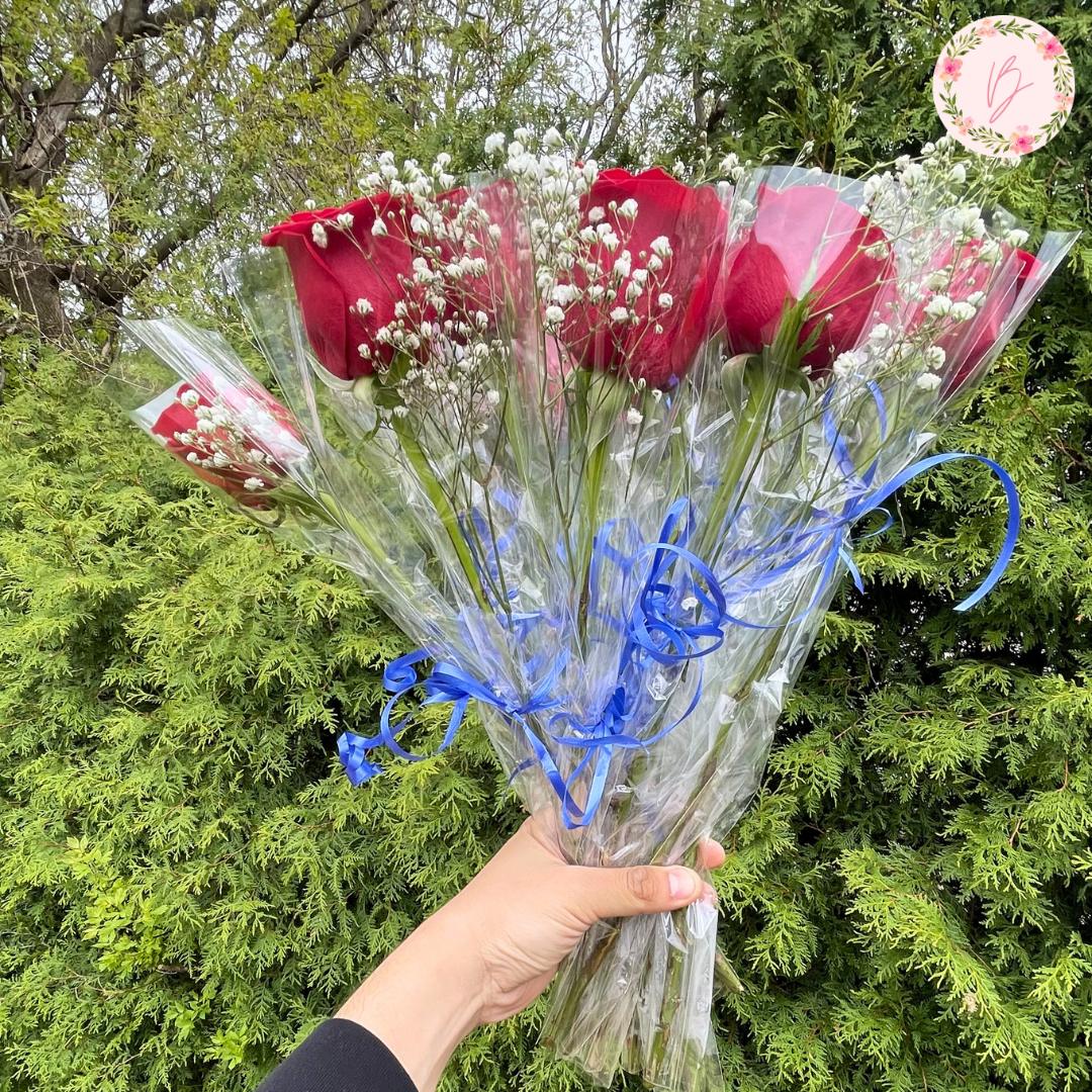 Welcome Rose