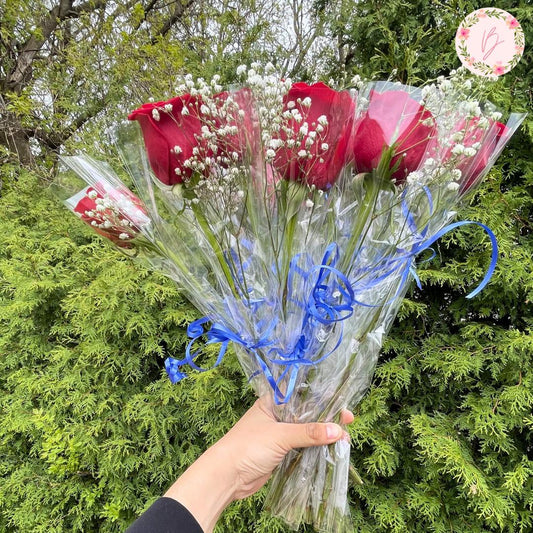 Welcome Rose